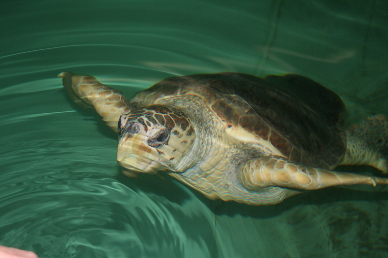 Killikus&reg; Fotographie